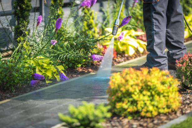 Best Animal Enclosure Cleaning  in Clayton, GA